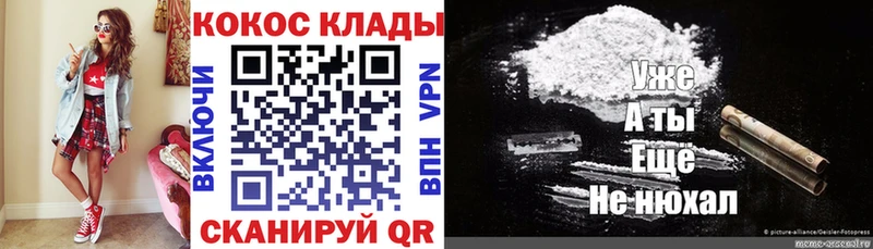 OMG вход  Туринск  COCAIN Fish Scale 