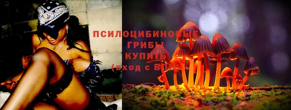 apvp Арсеньев