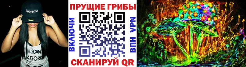Галлюциногенные грибы Magic Shrooms  Туринск 